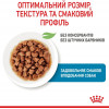 Royal Canin Puppy X-small 85 г (1593001) - зображення 4