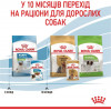 Royal Canin Puppy X-small 85 г (1593001) - зображення 8