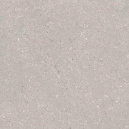   Porcelanosa Coral CORAL ACERO L (A) 800х800х8