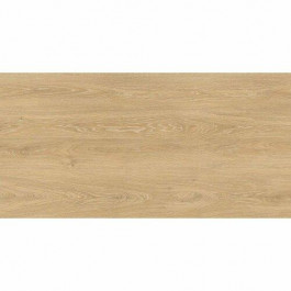   Almera Ceramica Holly Wood PF61216AJ WOODEN 600х1200х10