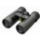   Leupold BX-2 Alpine 10x42 Roof Shadow Gray