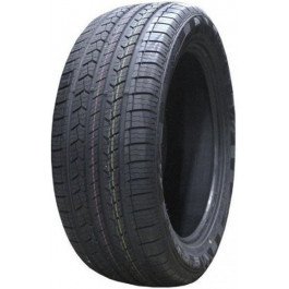   DoubleStar DS01 (245/70R16 107T)