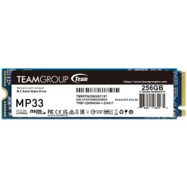   TEAM MP33 256 GB (TM8FP6256G0C101)