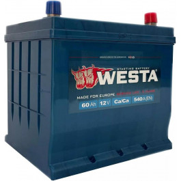   Westa 6CT-60 Аз Pretty Powerful (WPP601)