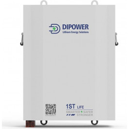   Dipower LiFePO4 48V 120AH