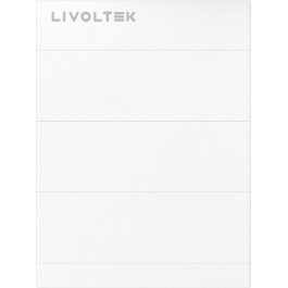   Livoltek BHF-S25.6