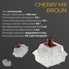 Ducky One 3 Cherry MX Brown UA USB Cream (DKON2108-BUAPXМAEGGC1) - зображення 7