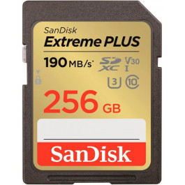   SanDisk 256 GB SDXC UHS-I U3 V30 Class 10 Extreme Plus (SDSDXWV-256G-GNCIN)