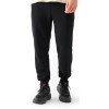 4F Спортивні штани утеплені чоловічі  Trousers Cas M0943 4FWMM00TTROM0943-20S L Чорні (5905700007883) - зображення 1