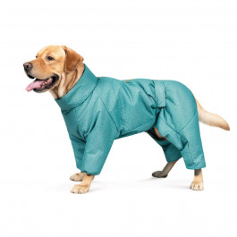   Pet Fashion Комбінезон  «Cold» для такс, розмір M, бірюза (PR242539)