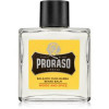 Proraso Wood and Spice бальзам для вусів  100 мл - зображення 1