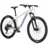 Kona Fire Mountain 27.5" 2023 / рама 42см Matte Faux Raw (B36FMS03) - зображення 1