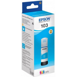   Epson C13T00S24A