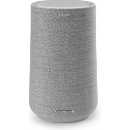   Harman/Kardon Citation 100 MKII Gray (HKCITA100MKIIGRY)