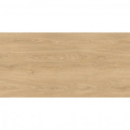   Almera Ceramica HOLLY WOOD PF61216AJ WOODEN 1200x600