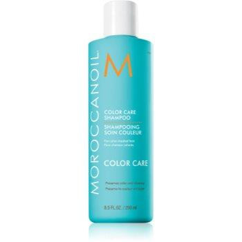 Moroccanoil Color Care поживний шампунь для фарбованого волосся 250 мл - зображення 1