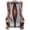 Deuter Giga / chestnut-umbra (3812321-6616) - зображення 2