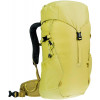 Deuter Climber 22 / sprout-linden (3611024-1208) - зображення 1