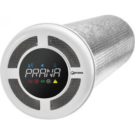   ПРАНА Prana 150 Eco Energy M2023