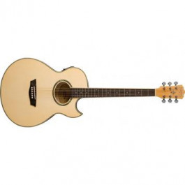   Washburn EA20