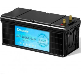   Kepworth LiFePO4 24V 100AH 2400W*h (KW-24-100)