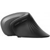 Trust Verro Ergonomic Wireless Mouse (23507) - зображення 4