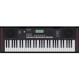   Roland E-X10