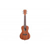 Kala MAHOGANY CONCERT UKULELE WITH BINDING - зображення 2