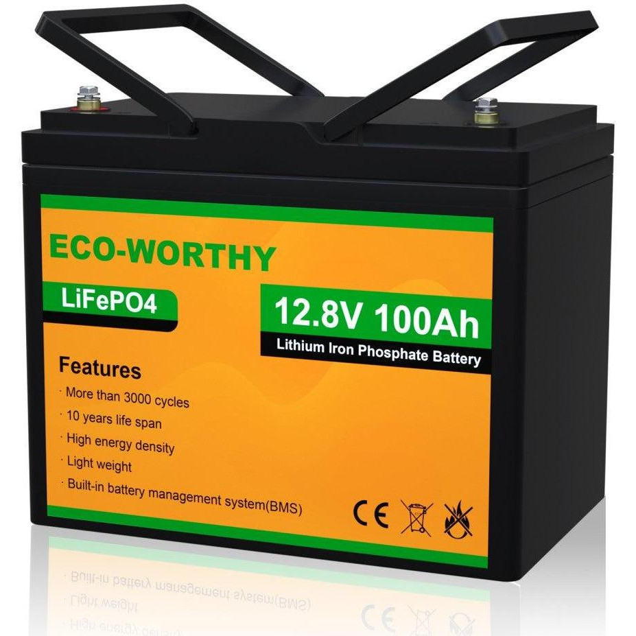 Eco-Worthy ECO-LFP12100 - зображення 1