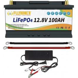   FlyPower LiFePO4 12V 100AH