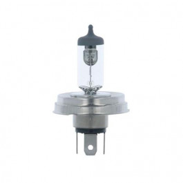   Era R2 12V 45/40W P45t Halogen Visio E084SD-1C