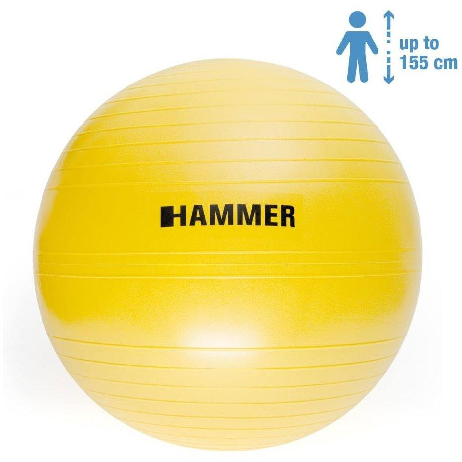 HAMMER Gymnastics Ball 55 cm (66406) - зображення 1