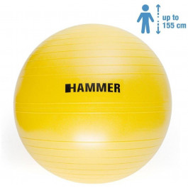   HAMMER Gymnastics Ball 55 cm (66406)