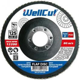   WellCut 125 мм P120 WC27120125