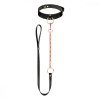 Rosy Gold Collar with Leash Black (SX1199) - зображення 1