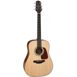   Takamine GD10-NS