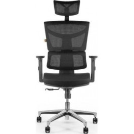   Barsky ECO Chair G1 green