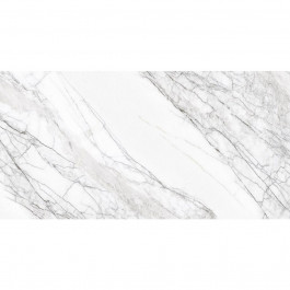   Cerama Market Natural Carrara 60*120 см білий