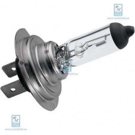   AG AUTOPARTS H7 100W 12V AG 40015S [1 шт.]