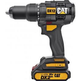   CAT DX12