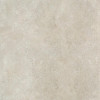 Almera Ceramica SGIV9S7193M STELLARR BEIGE - зображення 1