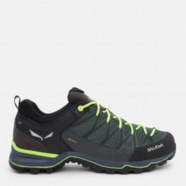   Salewa Чоловічі кросівки  Ms Mtn Trainer Lite GTX 61361 013.001.4417 40 Зелені (4053866154628)