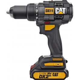   CAT DX11