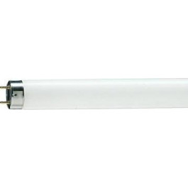 Osram T8 FLUORA L 30W/77 G13 (4050300003238)