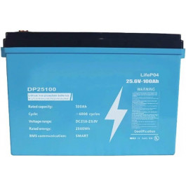   Dipower LiFePO4 24V 100Ah 2560Wh