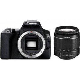   Canon EOS 250D kit (18-55mm) DC (3454C009)