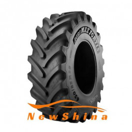   BKT Tires BKT AGRIMAX FORTIS с/х (600/70R34 163/160A8/D)