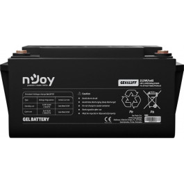   NJOY GE6512FF 12V 65Ah (BTVGCFTEBACFFCW01B)