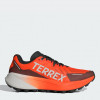 Adidas Чоловічі кросівки для бігу  Terrex Agravic 3 IG8841 40 (6.5UK) 25 см Terrex Agravic 3 Seimor/Greone/ - зображення 1