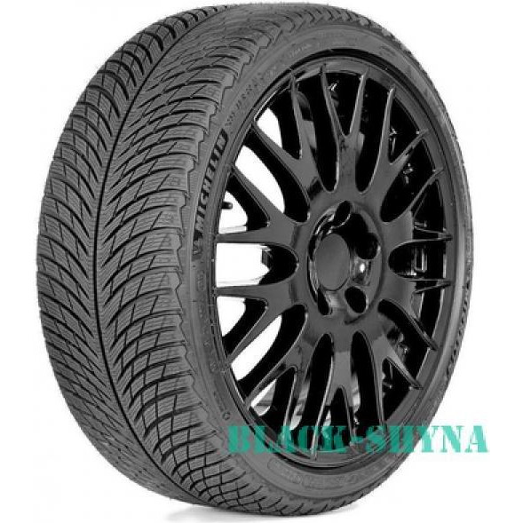 Michelin Pilot Alpin 5 (315/30R21 109V) - зображення 1